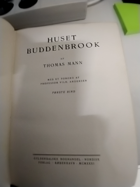 Thomas Mann: Buddenbrook